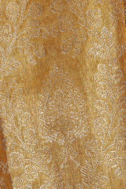 Image of Kanchipattu Gold Tissue Brocade Saree