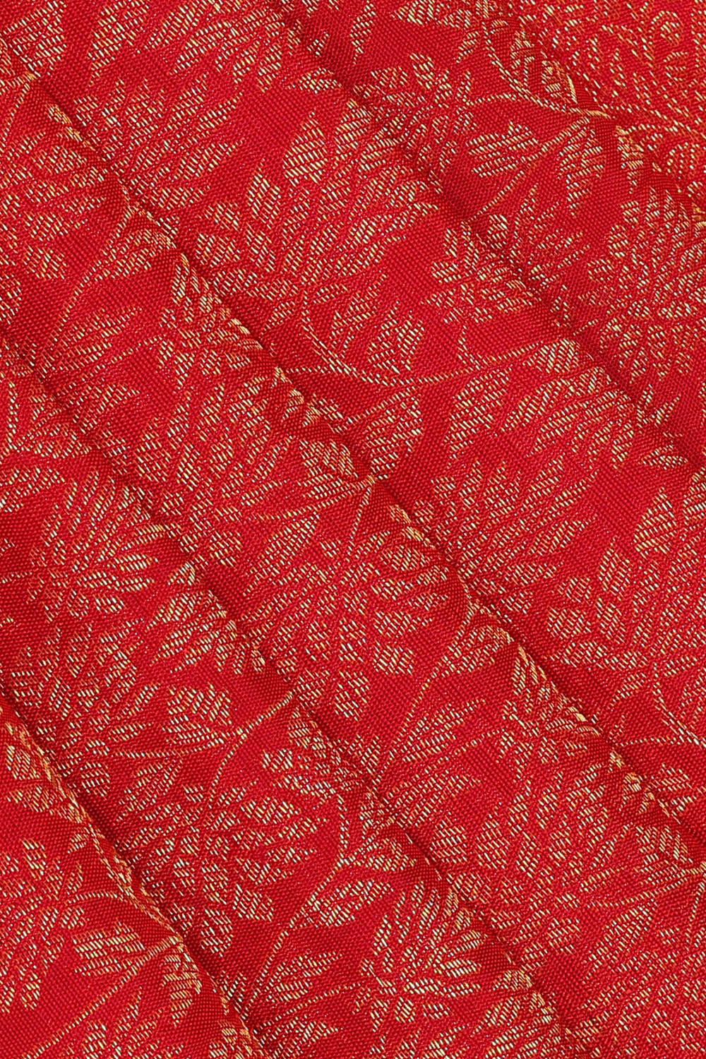 Image of Kanchipattu Red Brocade Saree