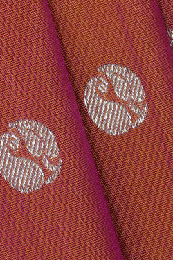 Image of Venkatagiri Silk Golden Brown Saree