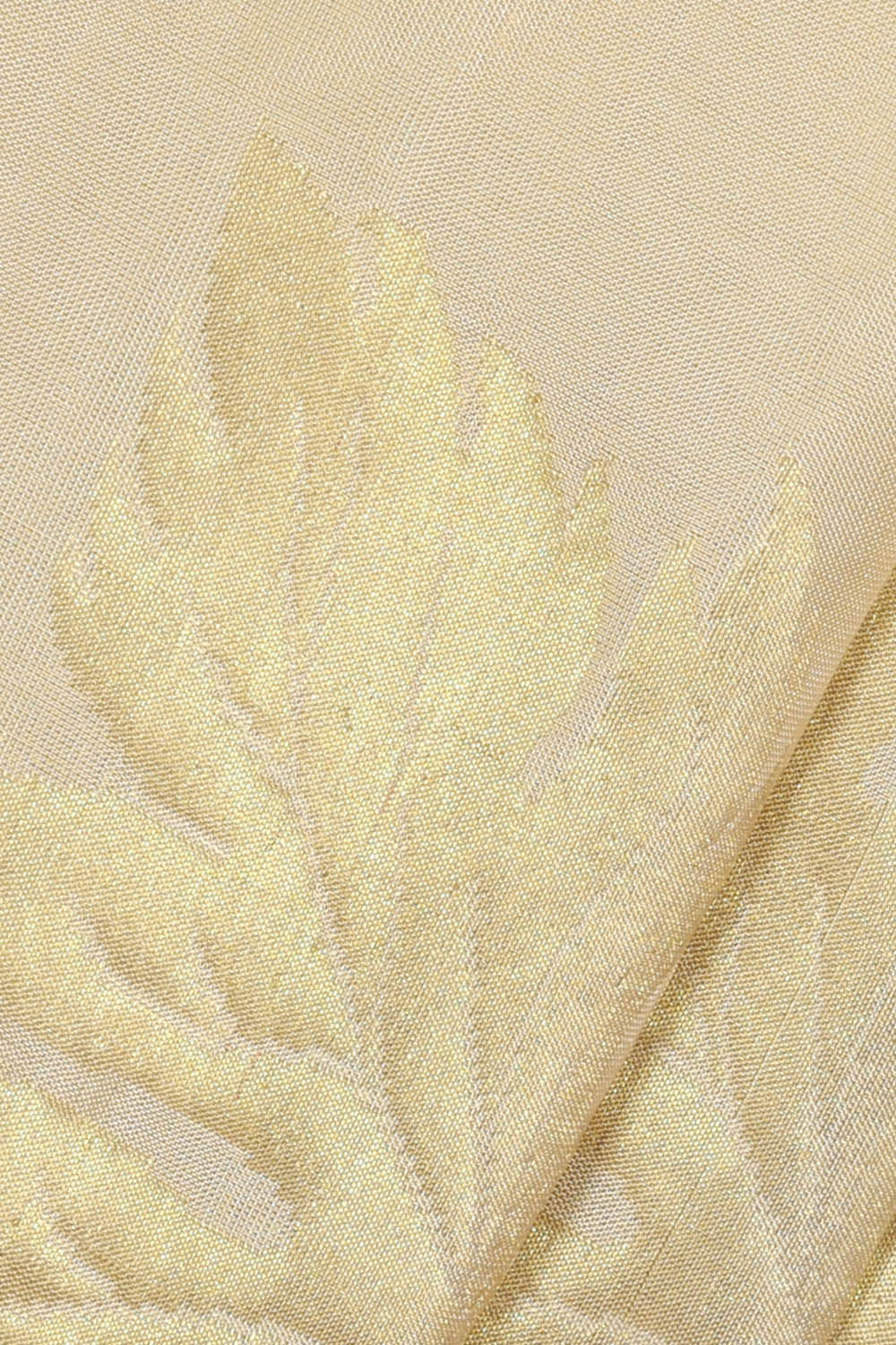 Image of Venkatagiri Silk Cream Saree