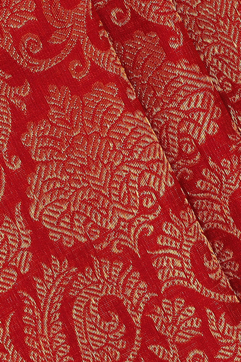 Image of Kanchipattu Red Brocade Saree