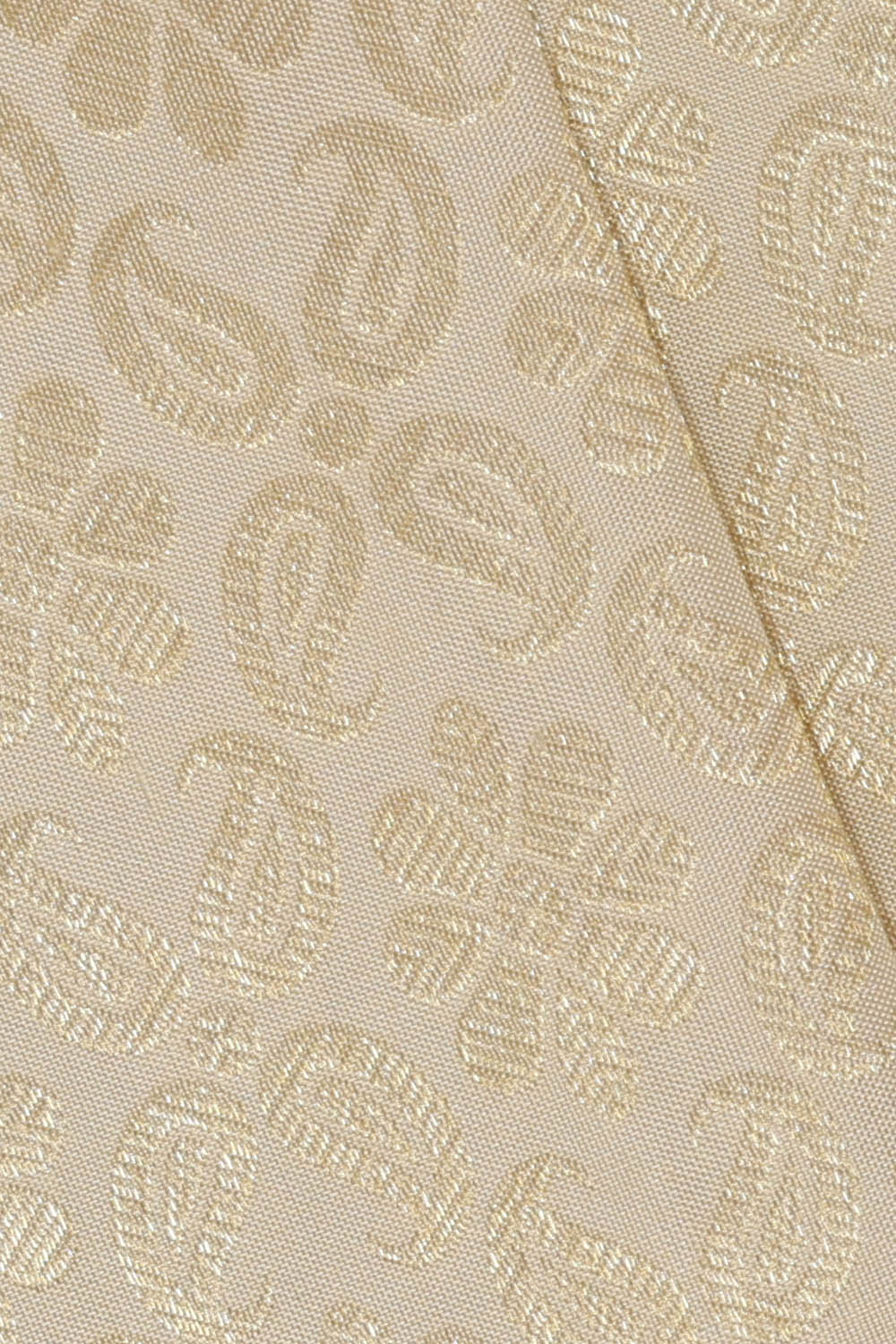 Image of Kanchipattu Silk Off-White Saree