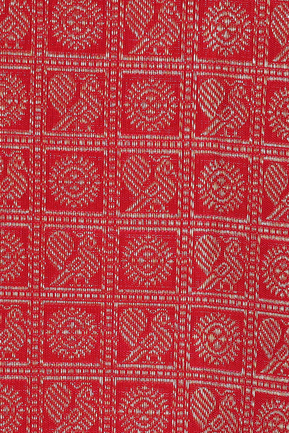 Image of Kanchipattu Red Brocade Saree