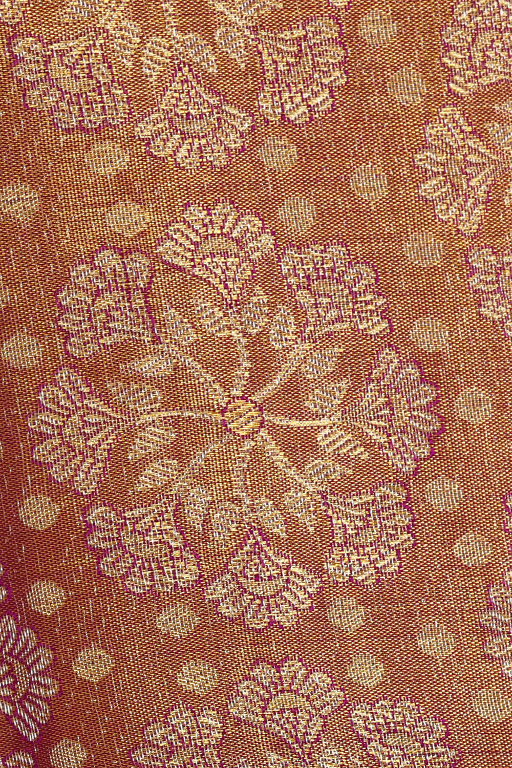 Image of Kanchipattu Golden Purple Tissue Brocade Saree
