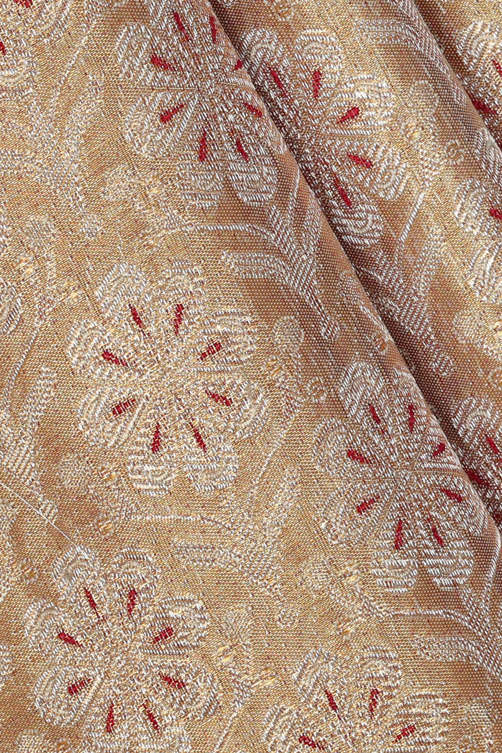 Image of Kanchipattu Gold Brocade Saree