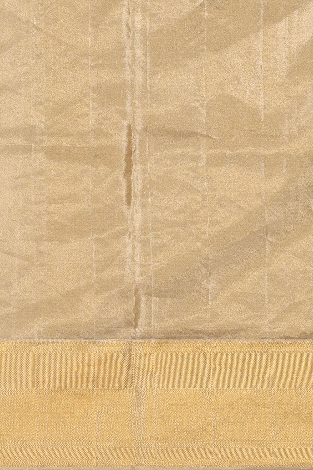 Image of Kanchipattu Multicolour Tissue Brocade Saree