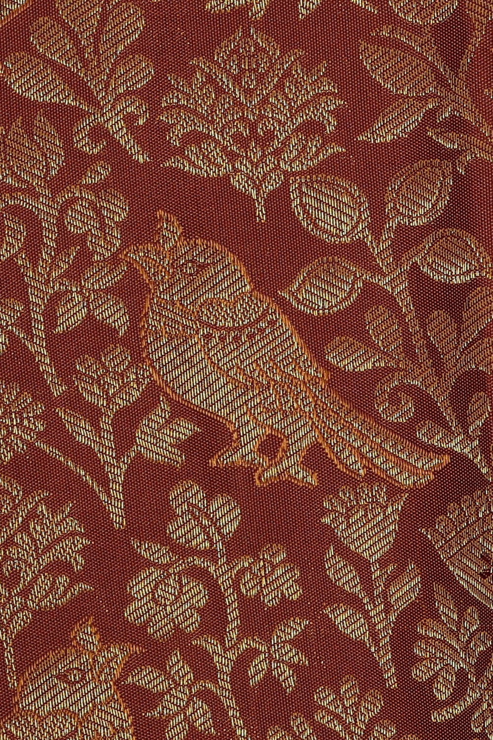 Image of Kanchipattu Brown Brocade Saree