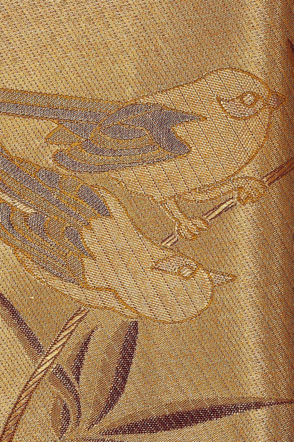 Image of Kanchipattu Gold Tissue Brocade Saree