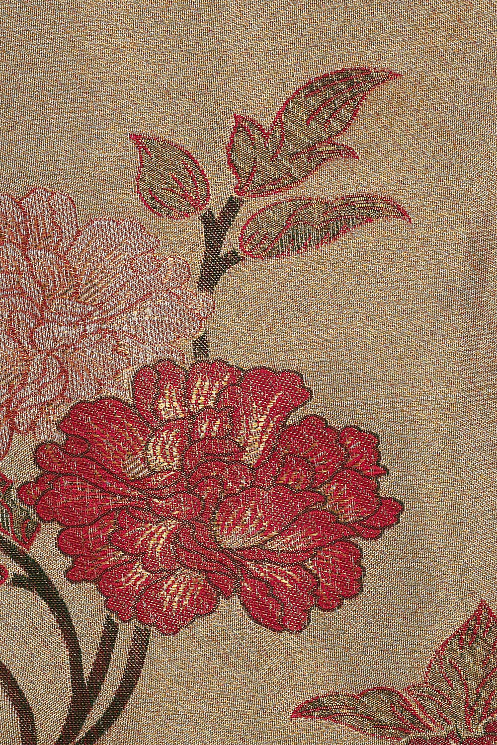 Kanchipattu Gold Tissue Brocade Saree