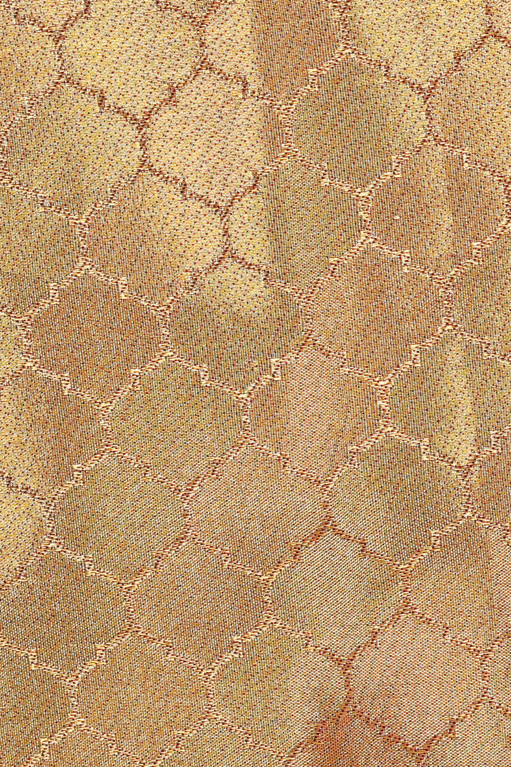 Kanchipattu Gold Tissue Brocade Saree