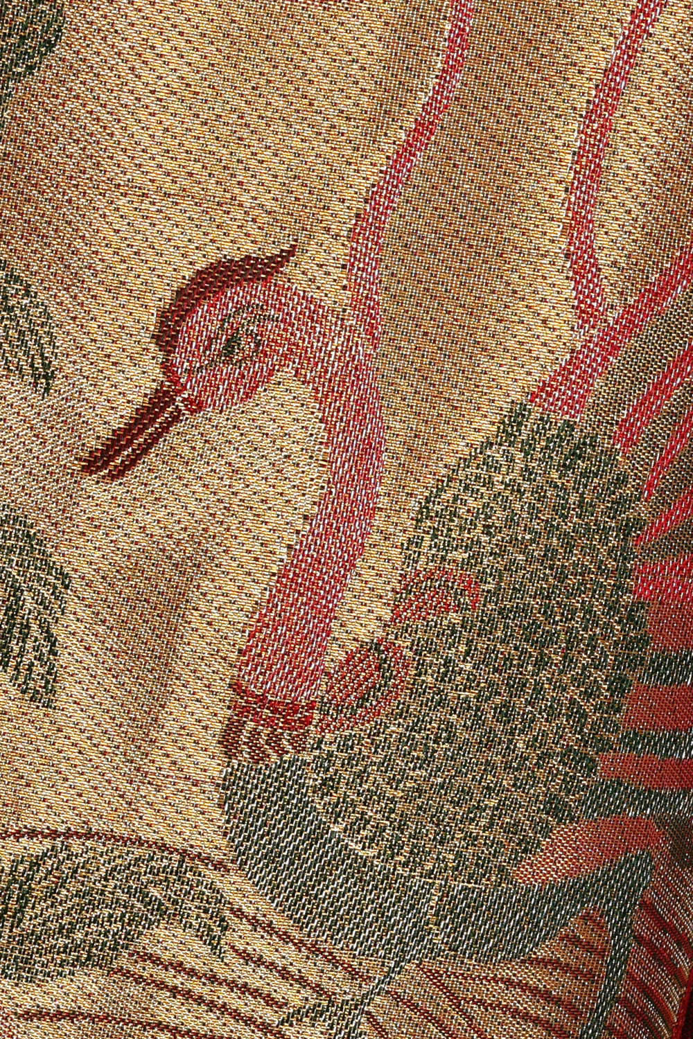 Image of Kanchipattu Gold Tissue Brocade Saree