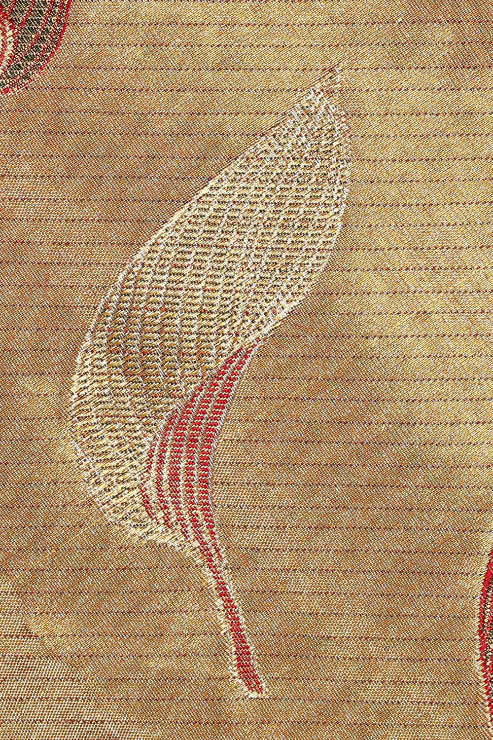 Image of Kanchipattu Gold Tissue Brocade Saree