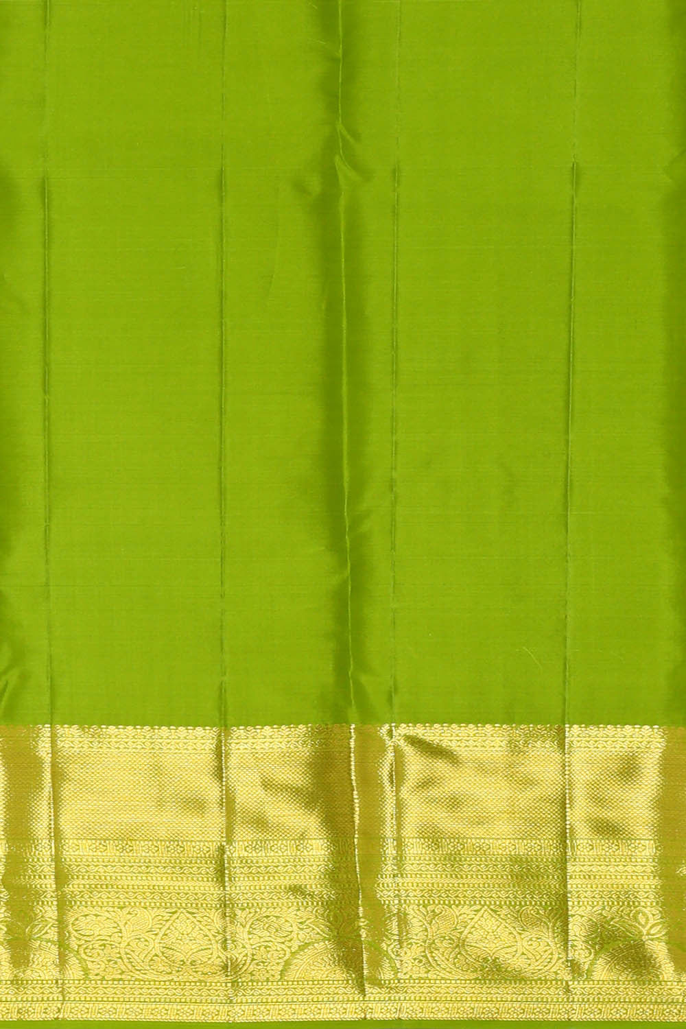 Image of Kanchipattu Parrot Green Brocade Saree