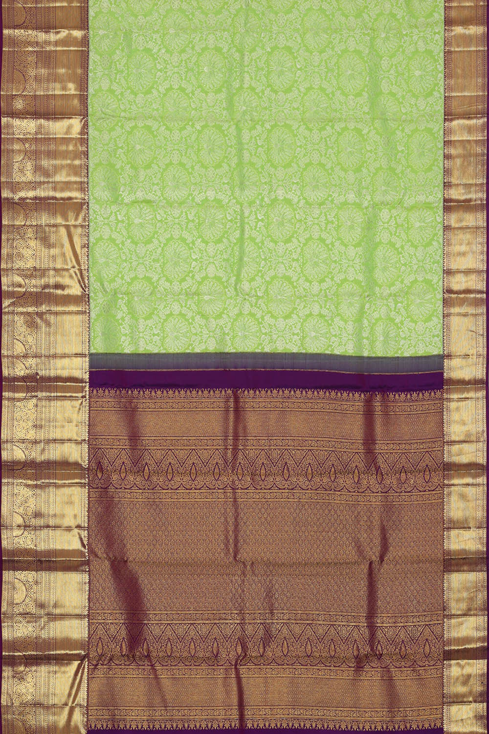 Image of Kanchipattu Light Green Brocade Saree