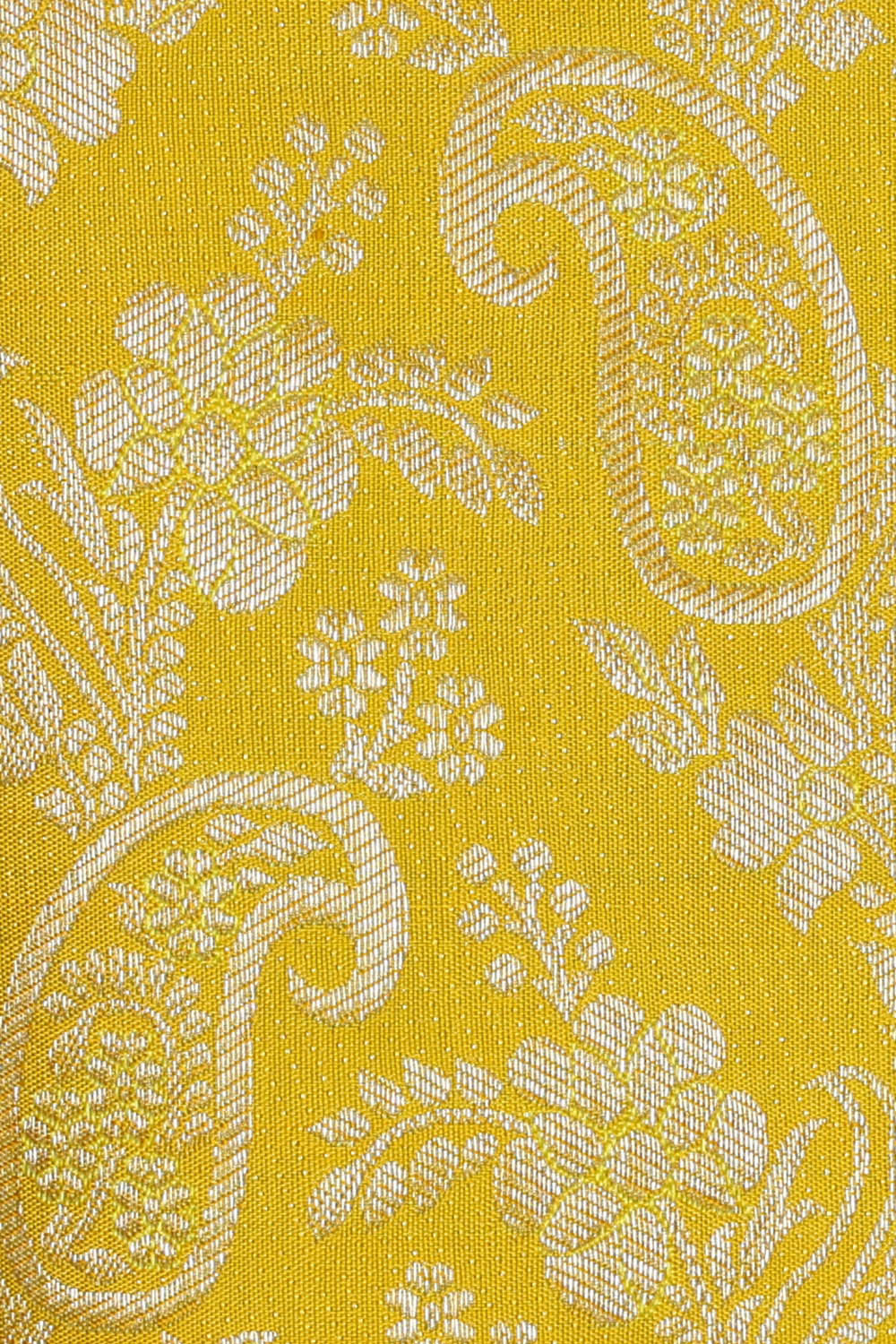 Image of Kanchipattu Yellow Brocade Saree