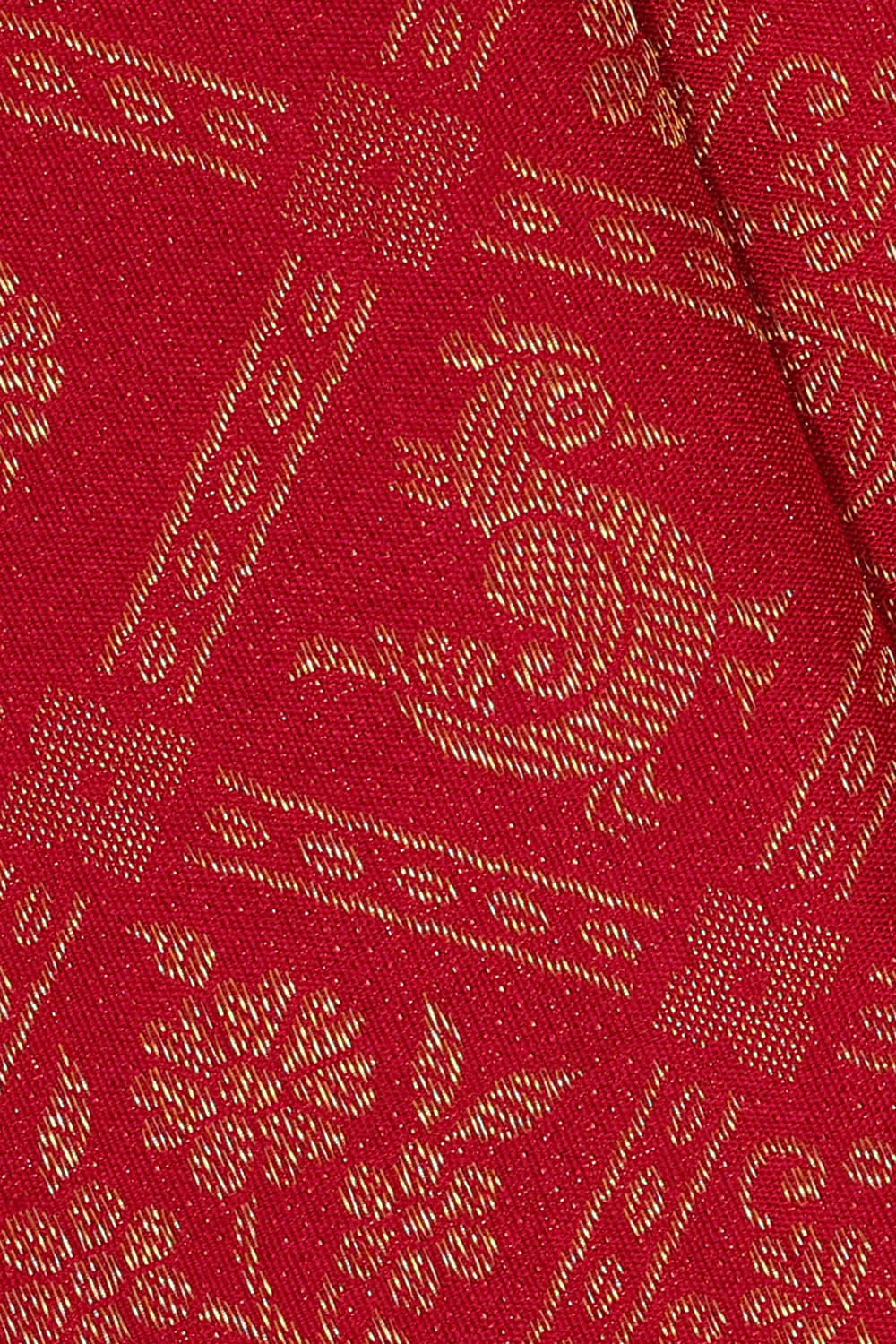 Image of Kanchipattu Red Brocade Saree