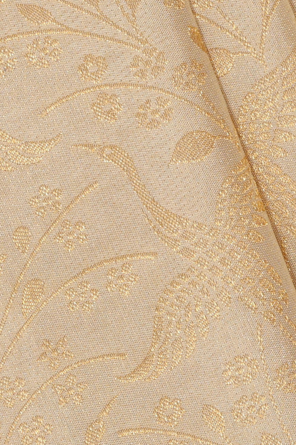 Image of Kanchipattu Silk Cream Saree