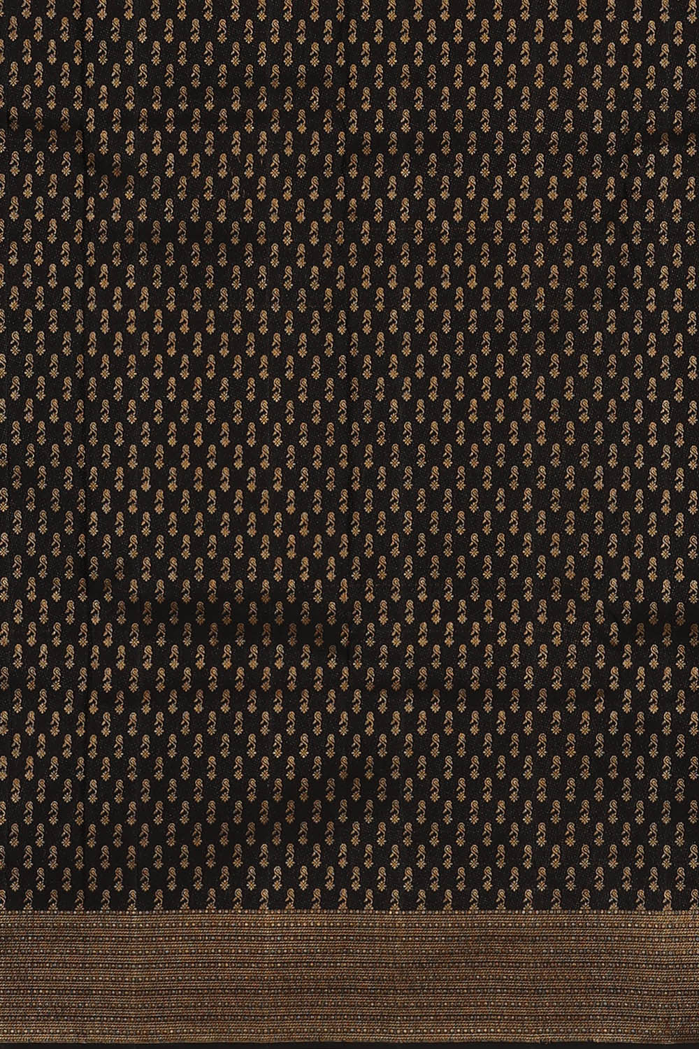 Image of Kanchipattu Black Brocade Saree