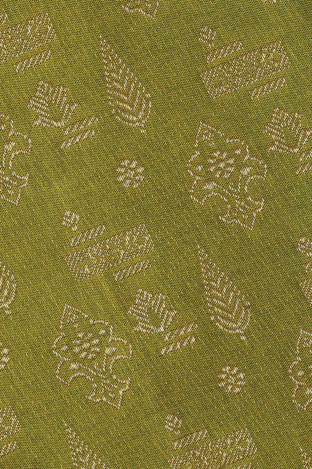 Image of Kanchipattu Golden Green Brocade Saree