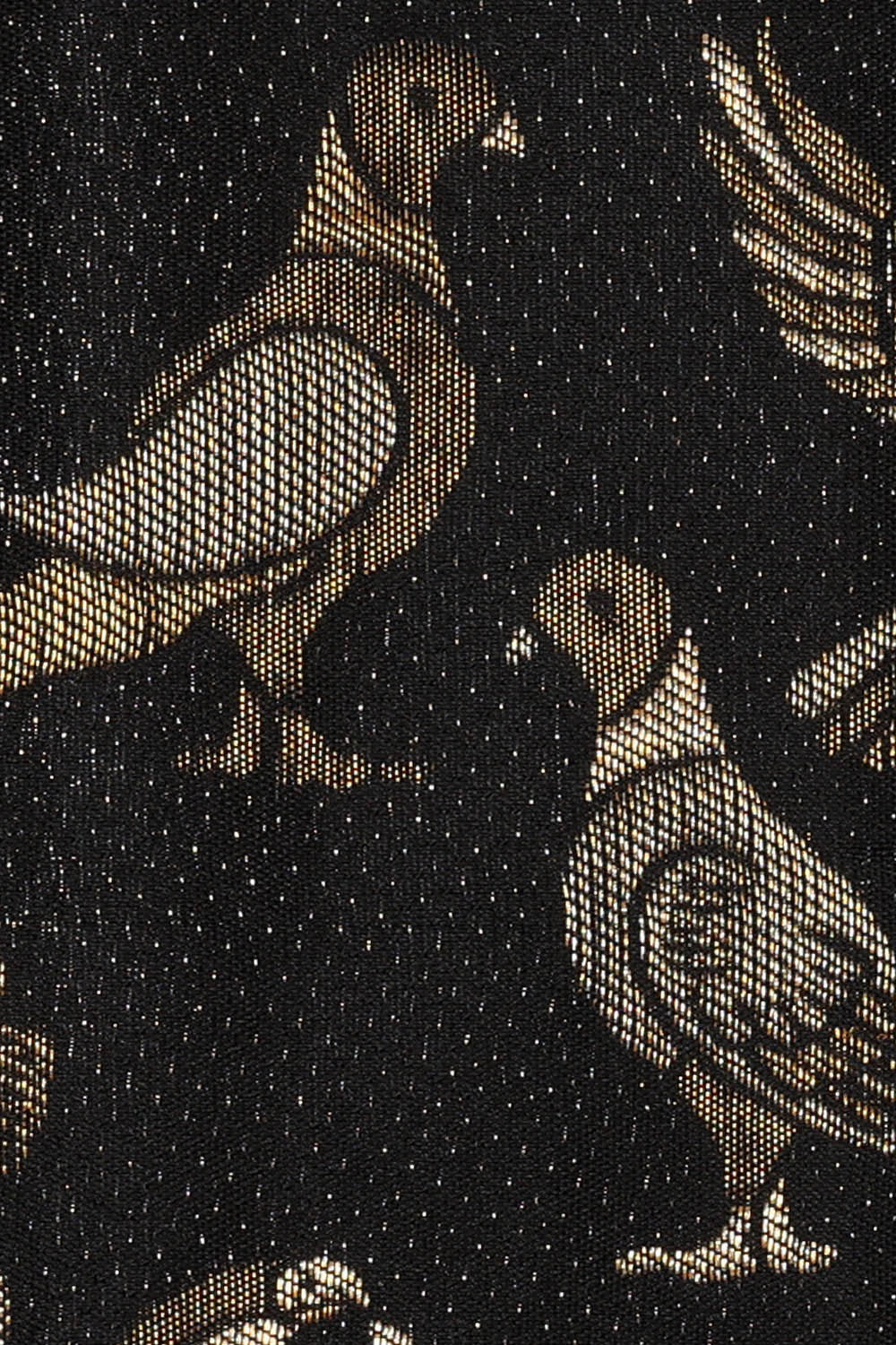 Kanchipattu Black Brocade Saree