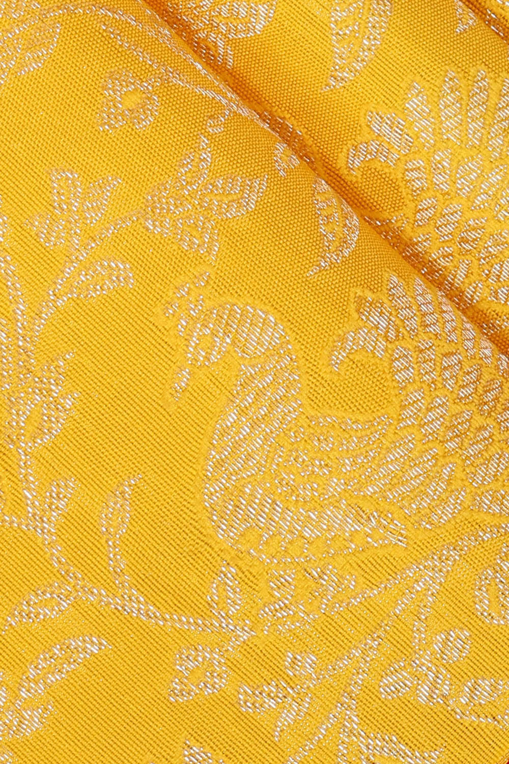 Image of Kanchipattu Yellow Brocade Saree