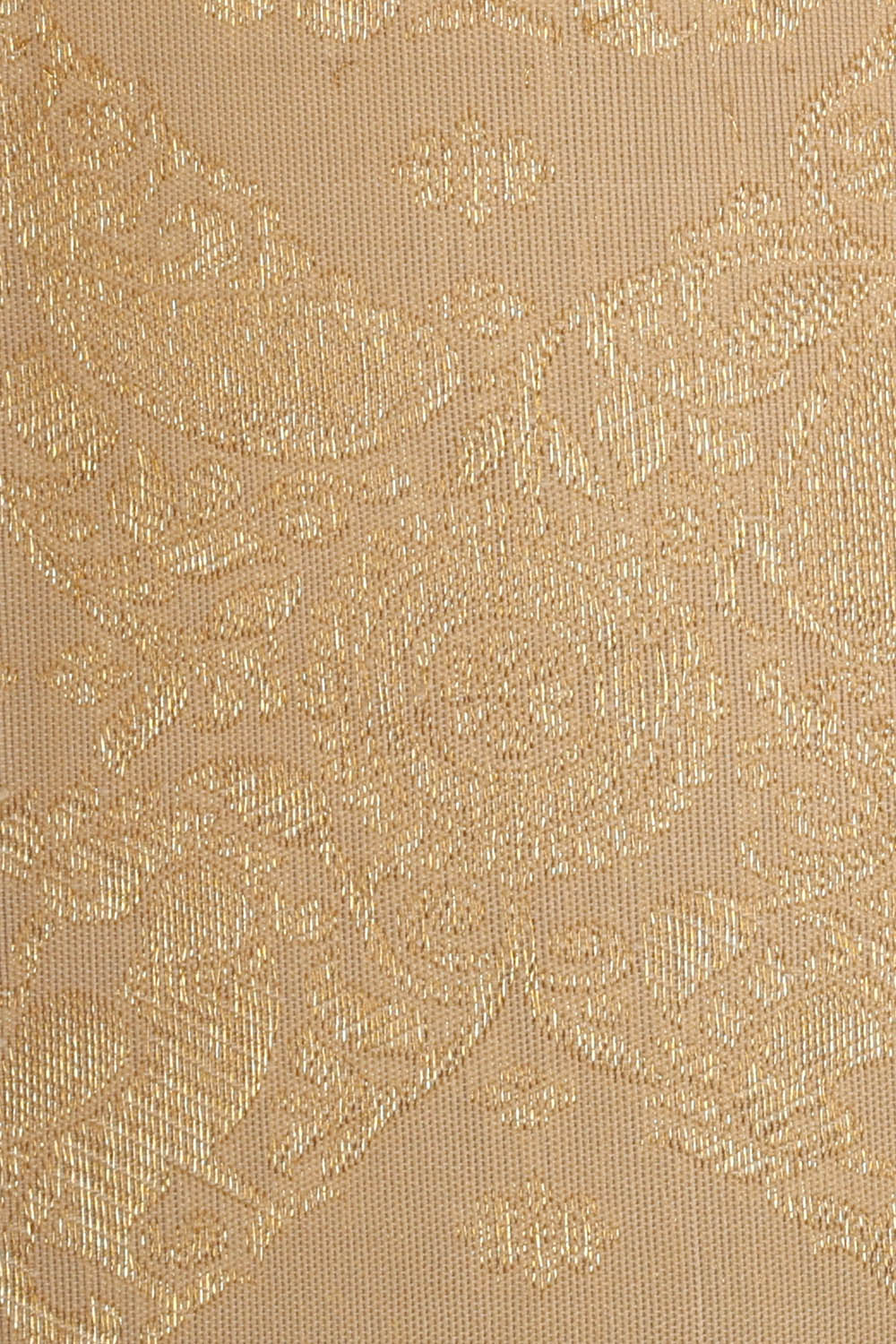 Image of Kanchipattu Silk Cream Saree