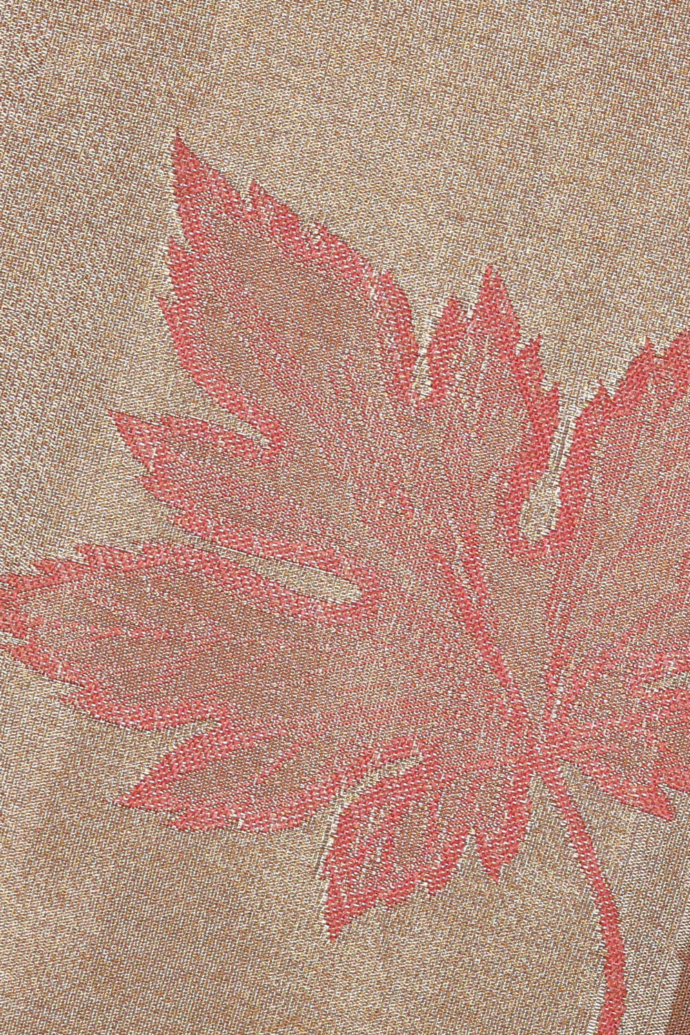 Image of Kanchipattu Gold Tissue Brocade Saree