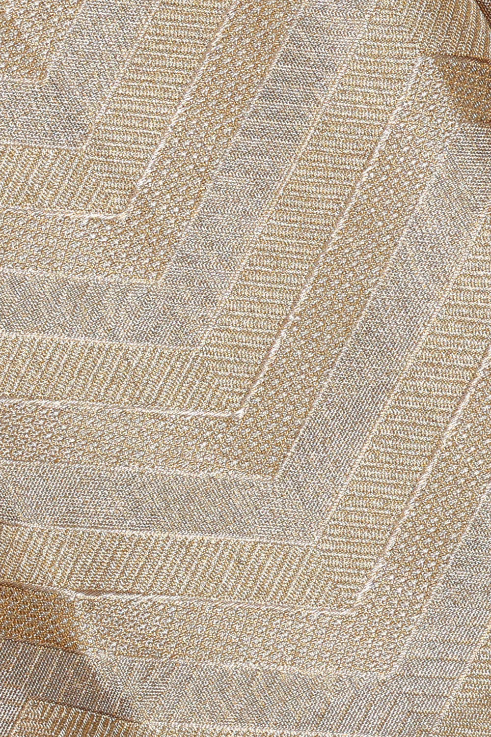 Image of Kanchipattu Gold Tissue Brocade Saree