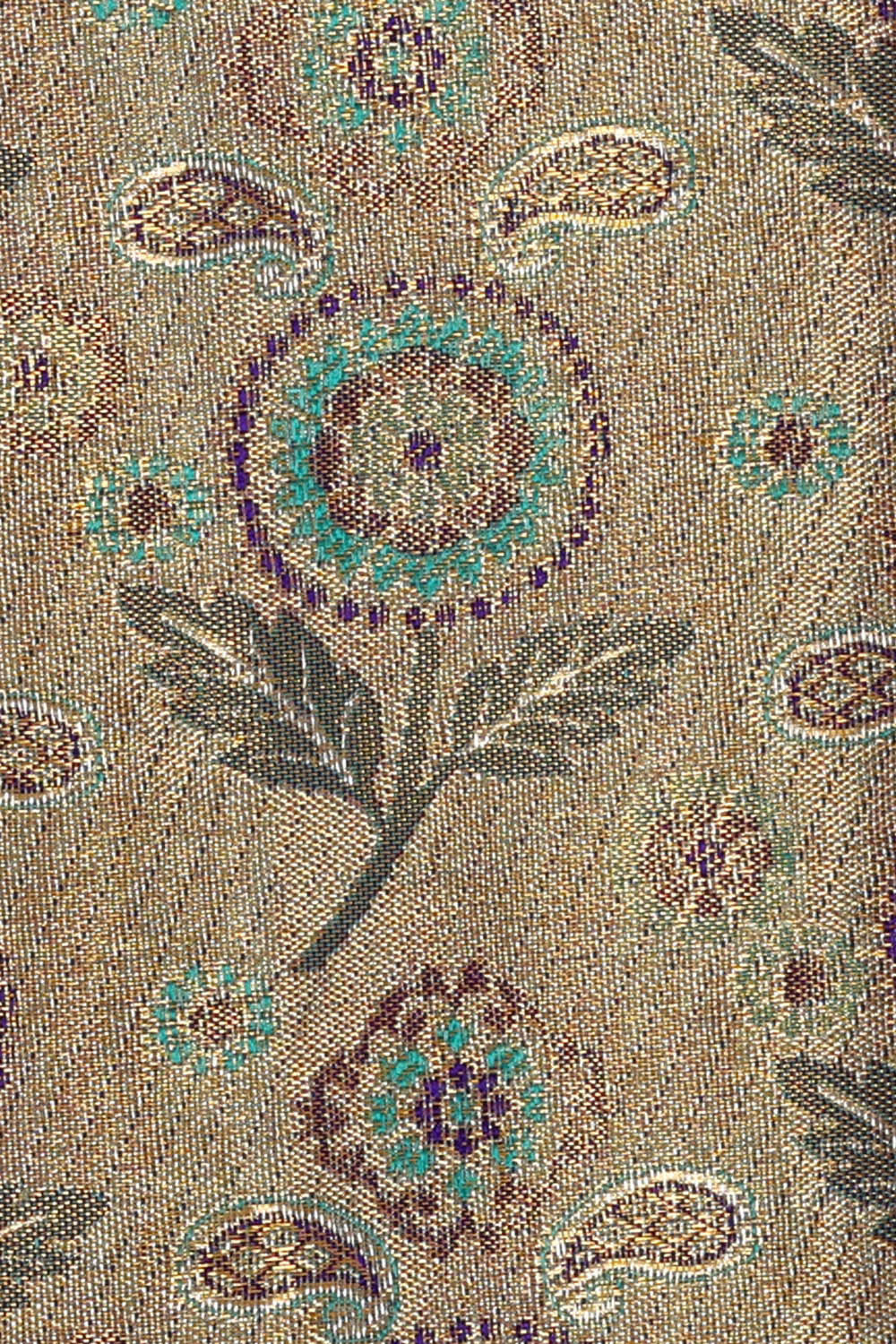 Image of Kanchipattu Gold Brocade Saree