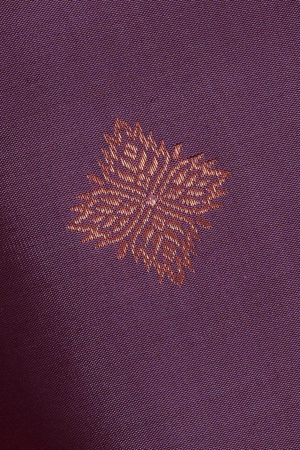 Image of Kanchipattu Violet Brocade Saree