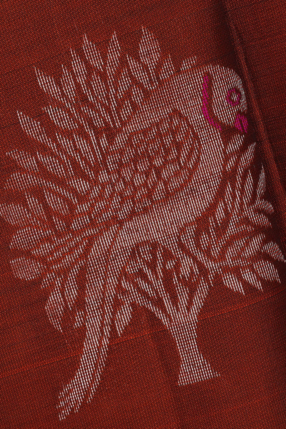 Image of Kanchipattu Silk Burnt Orange Saree
