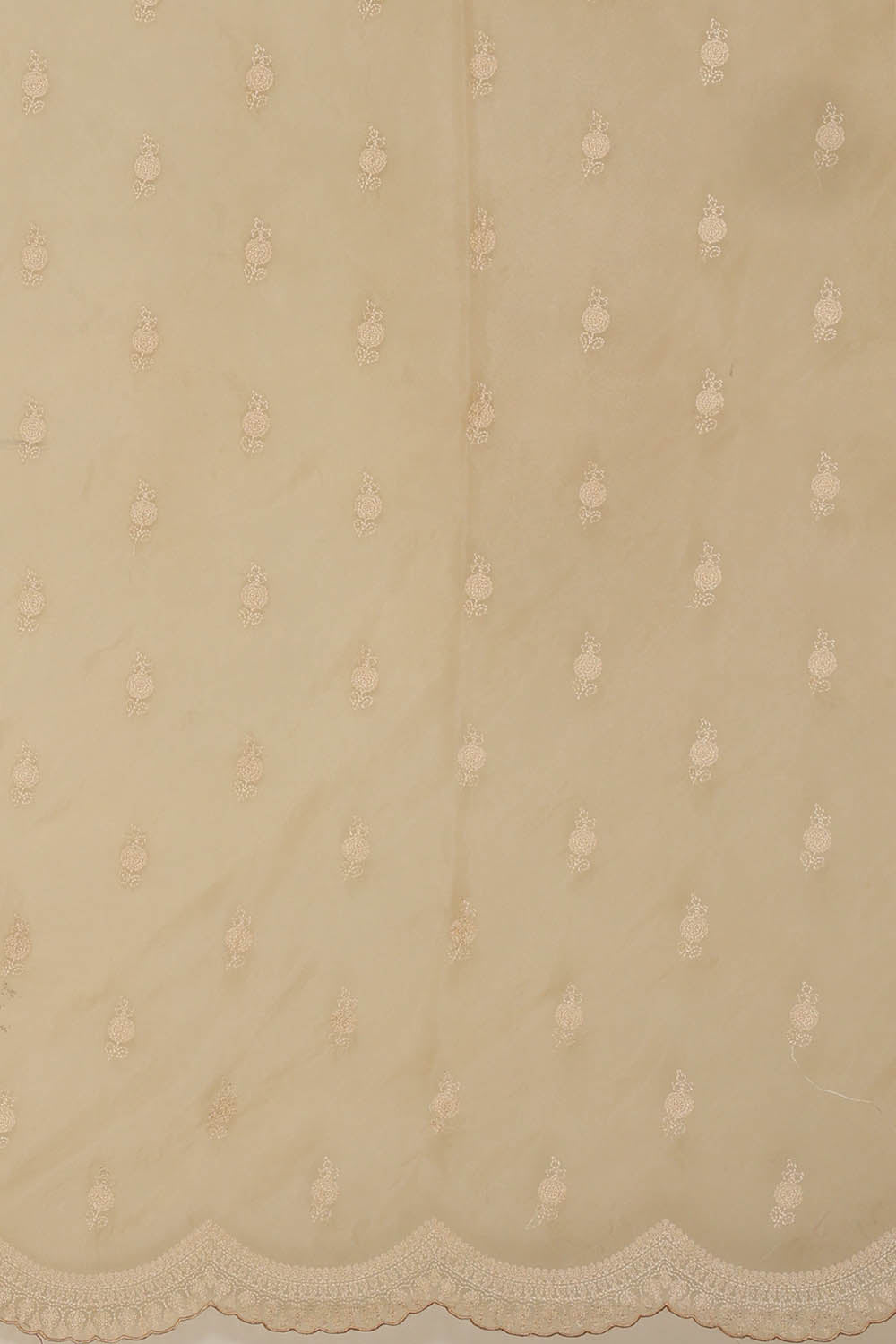 Image of Kora Silk Beige Saree