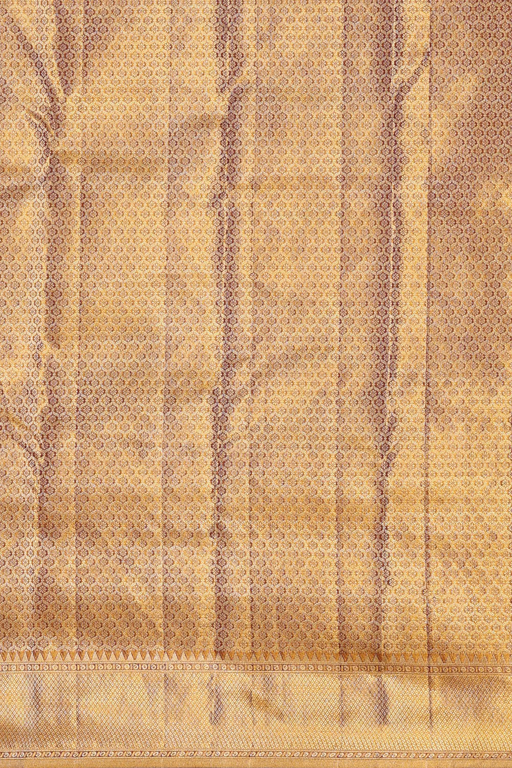 Image of Kanchipattu Tissue Multi-Colour Saree