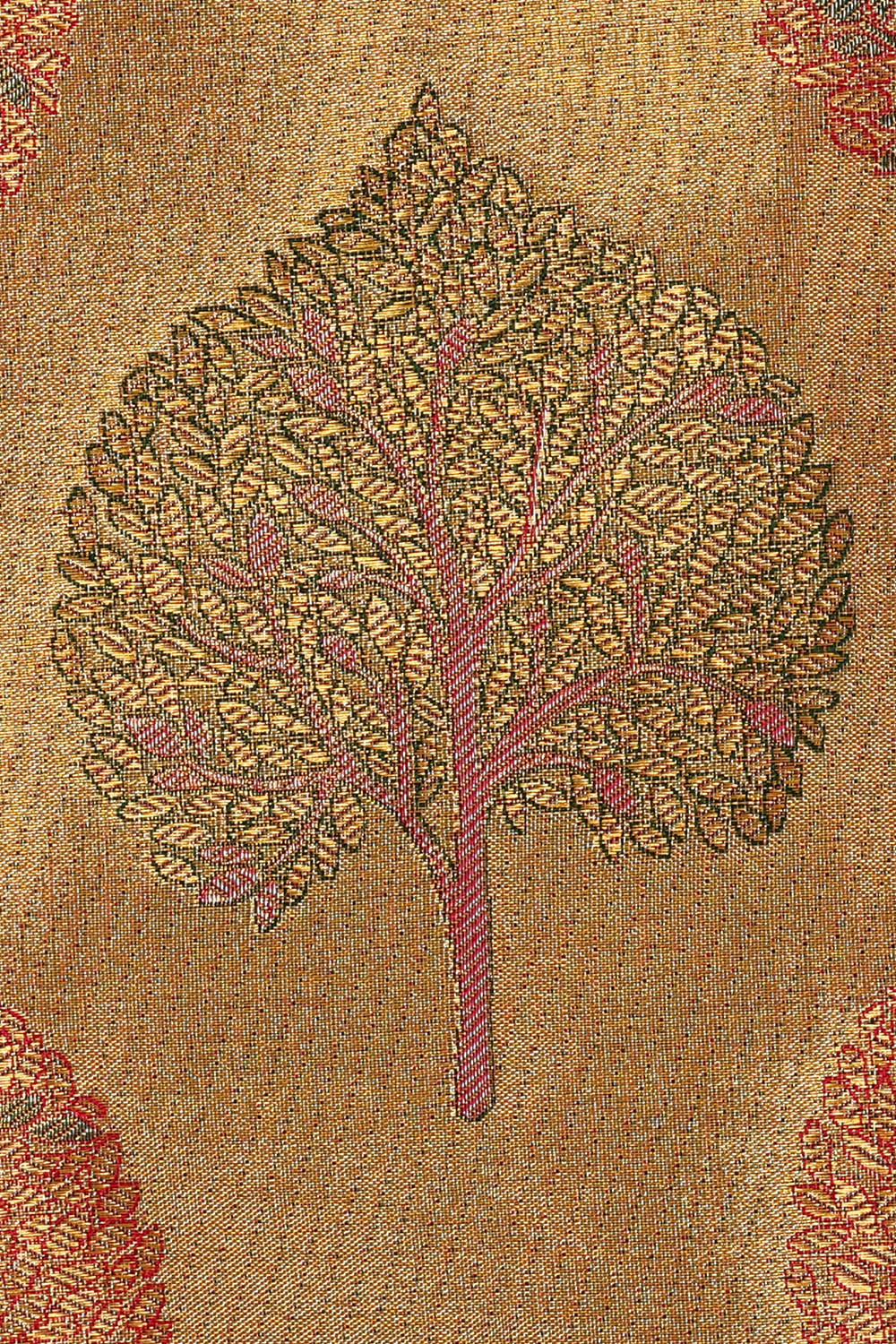Image of Kanchipattu Tissue Silk Golden Saree
