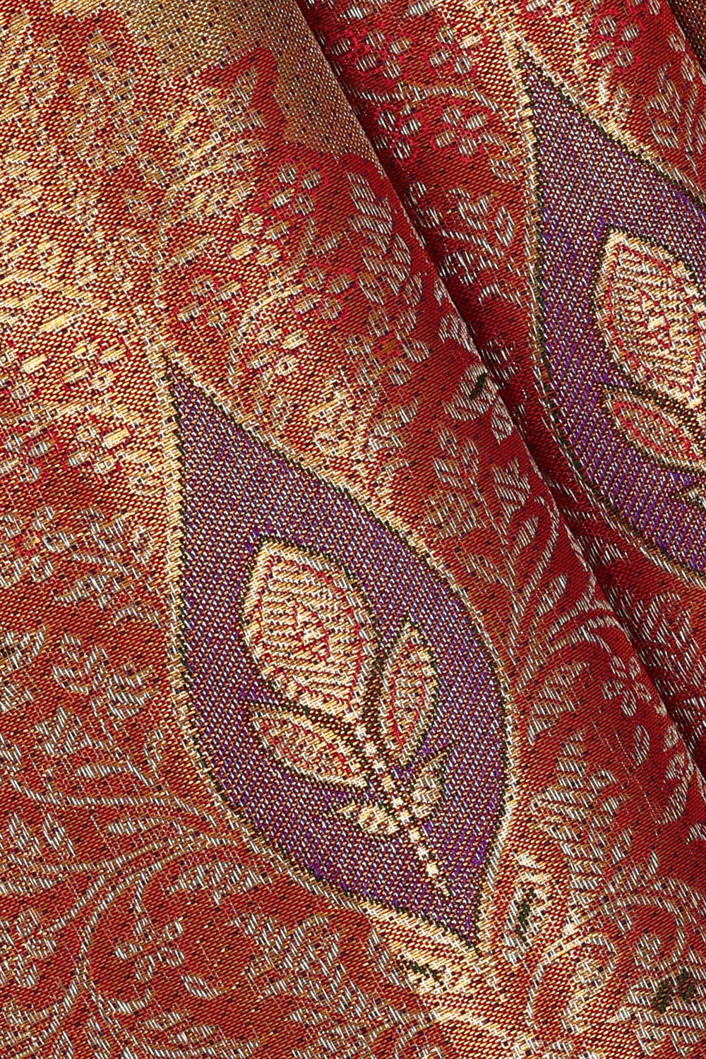 Image of Kanchipattu Tissue Silk Multi-Colour Saree