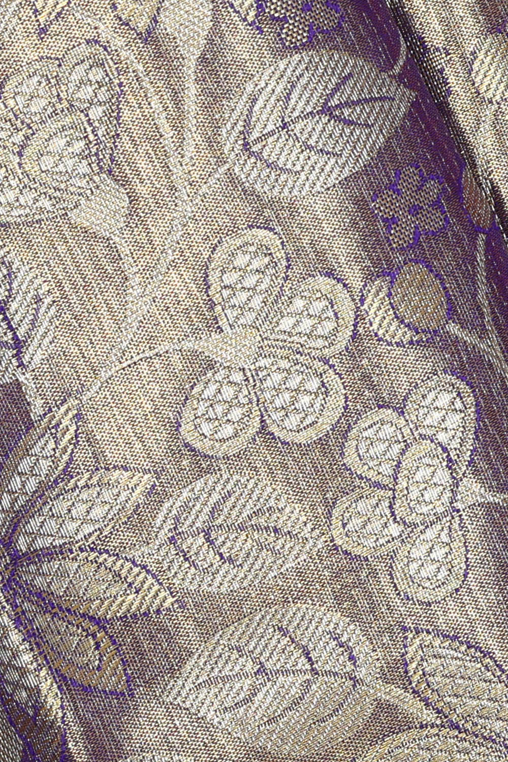 Image of Kanchipattu Tissue Brocade Silver Blue Saree