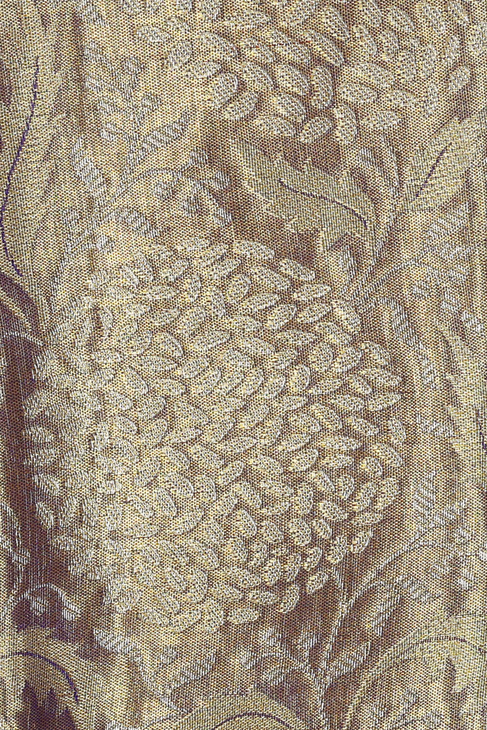 Image of Kanchipattu Tissue Brocade Silver Blue Saree