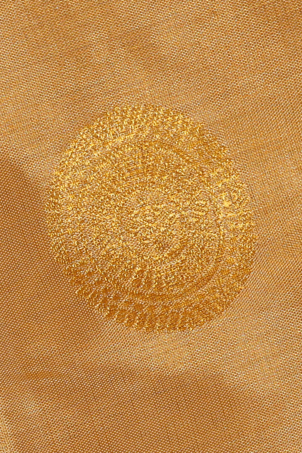Image of Kanchipattu Silk Golden Saree