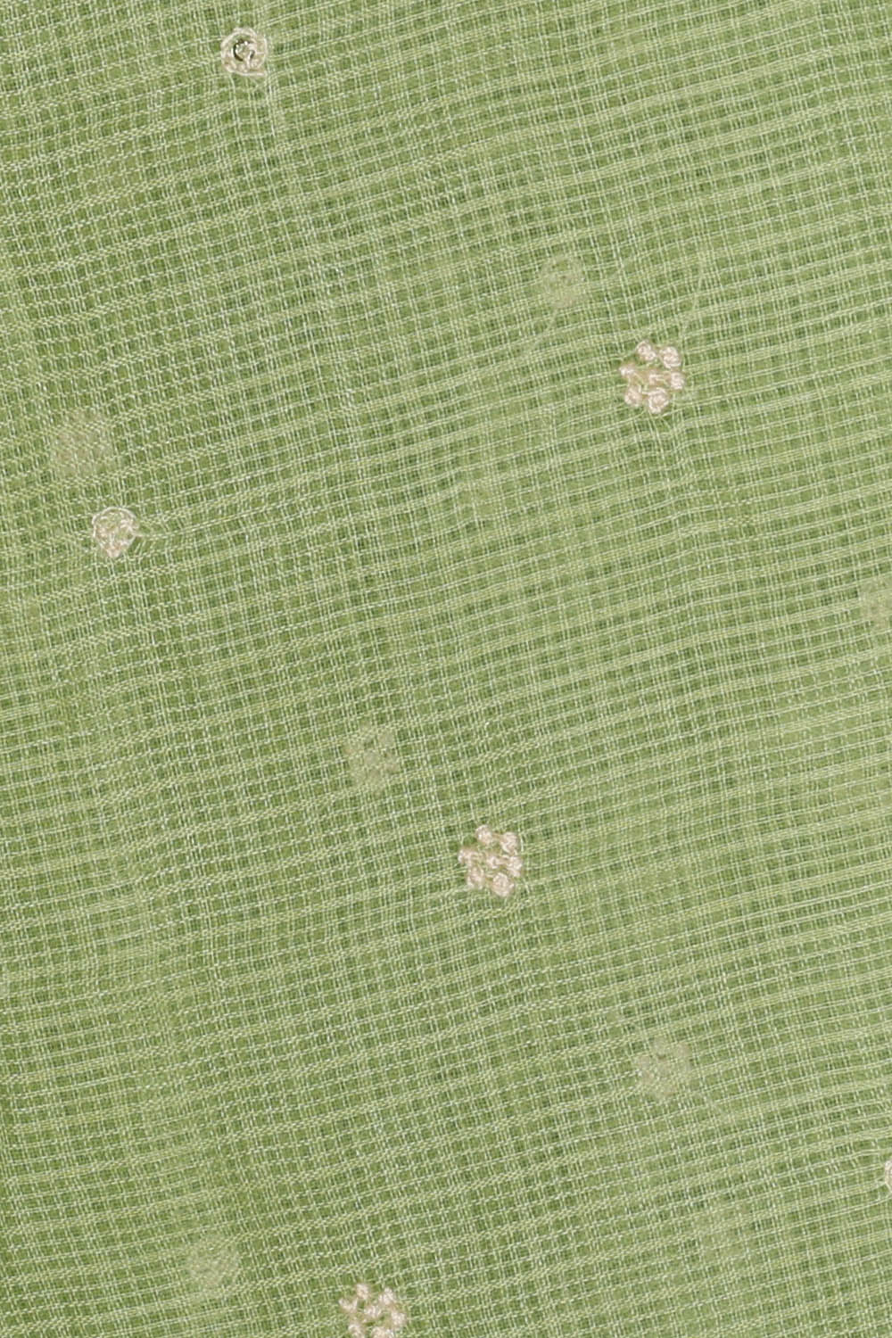 Image of Kota Silk Light Green Saree