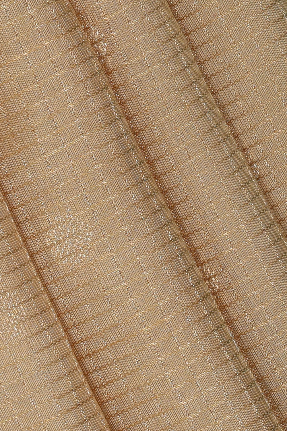 Image of Kanchipattu Silk Beige Saree