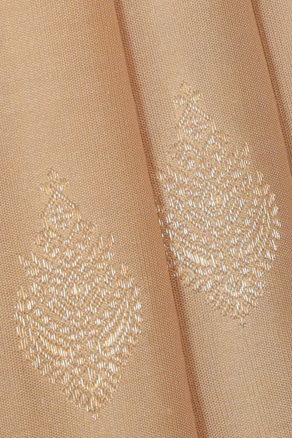 Image of Kanchipattu Silk Beige Saree
