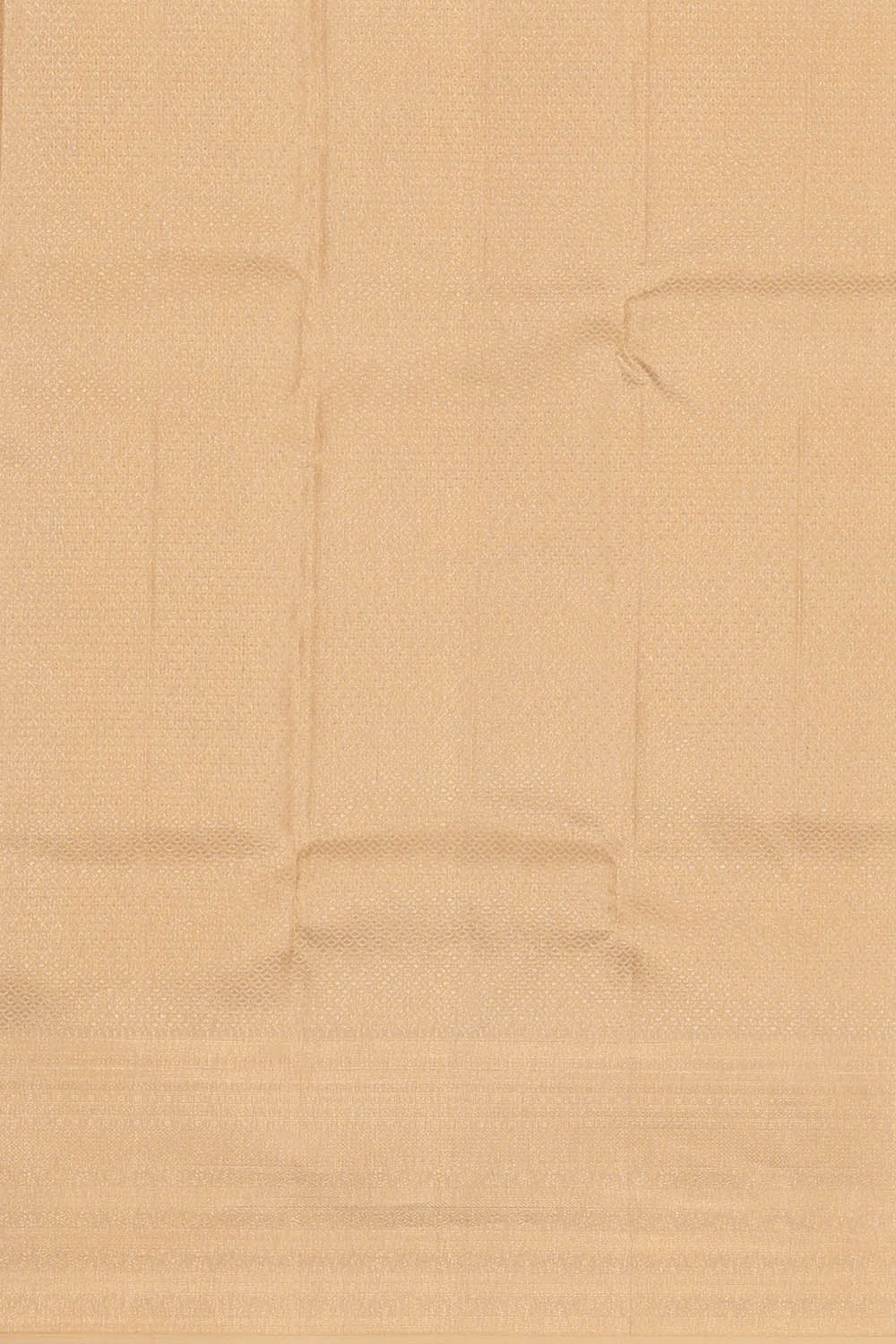 Image of Kanchipattu Silk Beige Saree