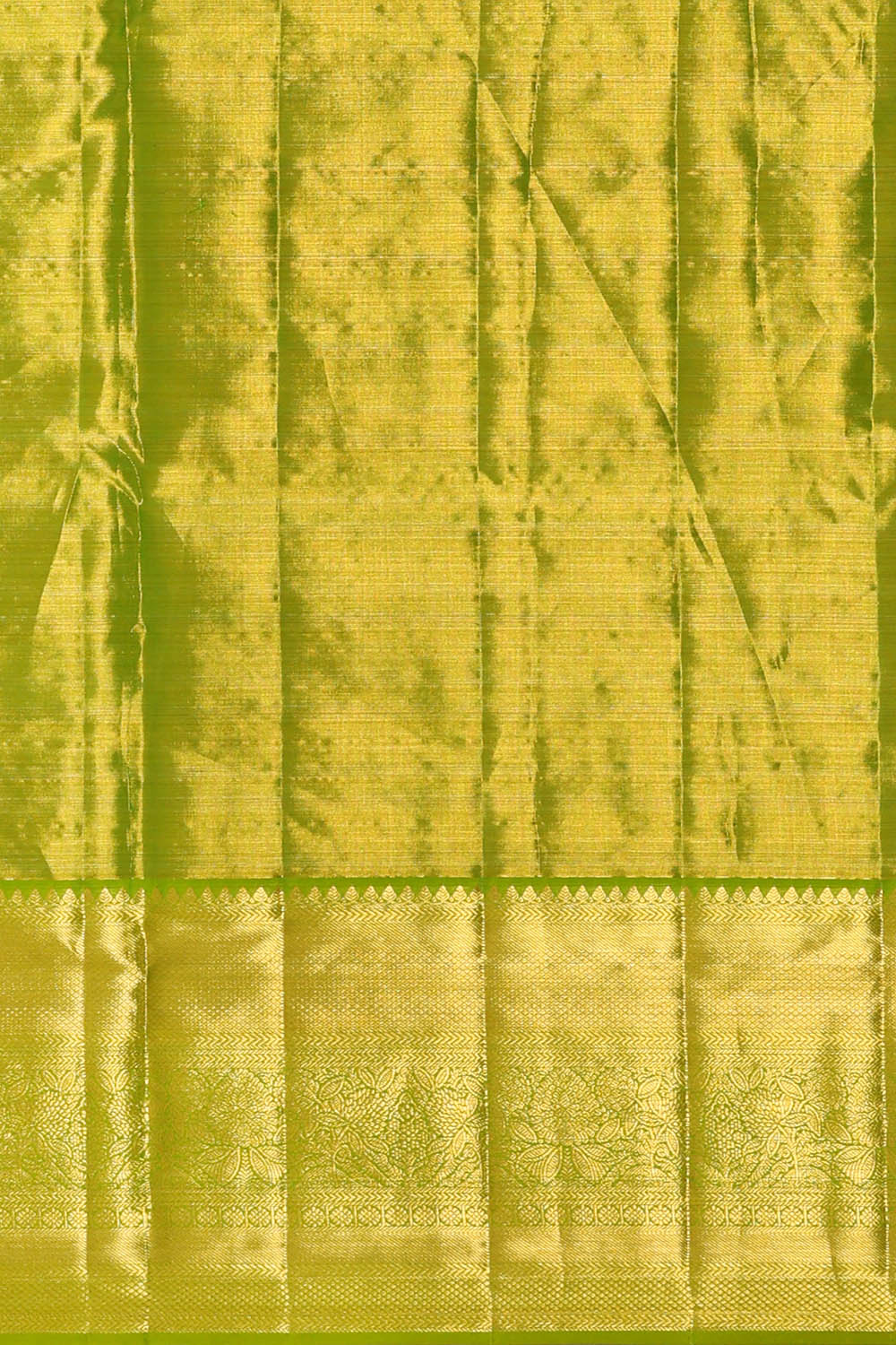 Image of Kanchipattu Tissue Silk Multi-Colour Saree