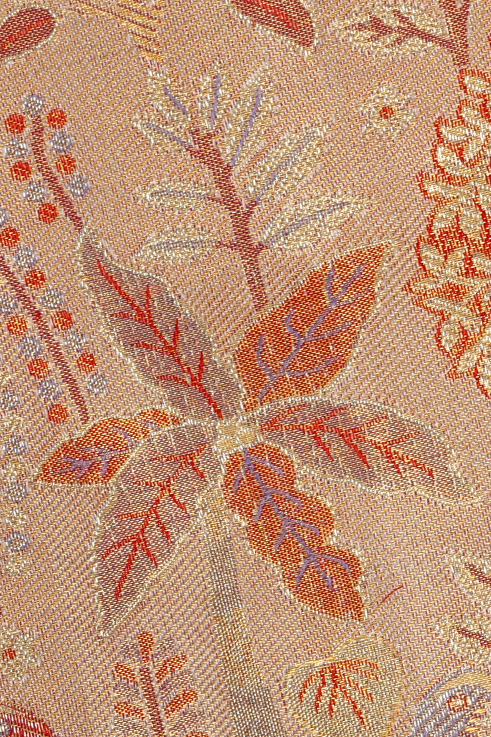 Image of Kanchipattu Tissue Brocade Cream Saree