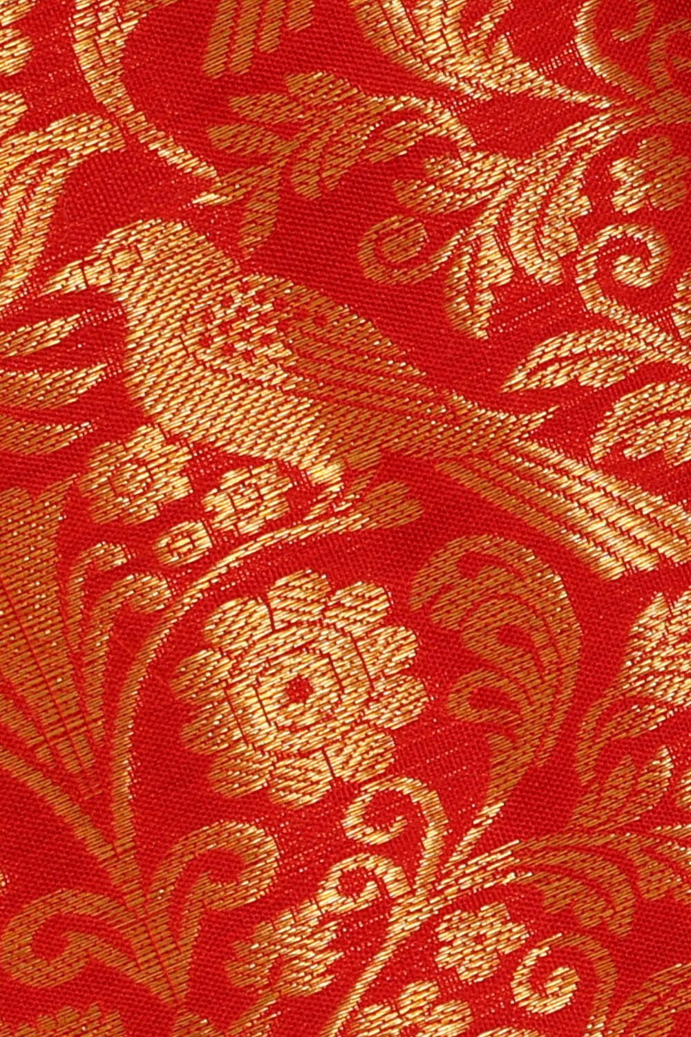 Image of Kanchipattu Brocade Red Saree