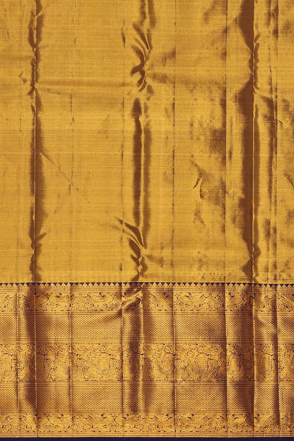 Image of Kanchipattu Tissue Silk Multi-Colour Saree