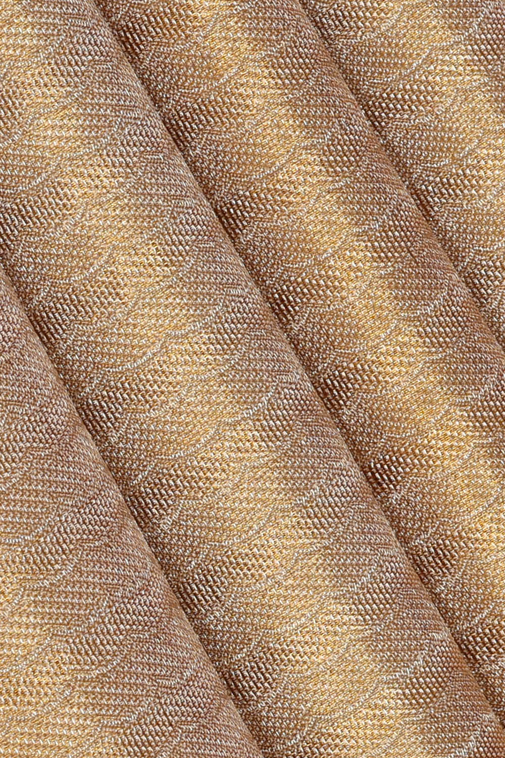 Image of Kanchipattu Tissue Brocade Beige Saree