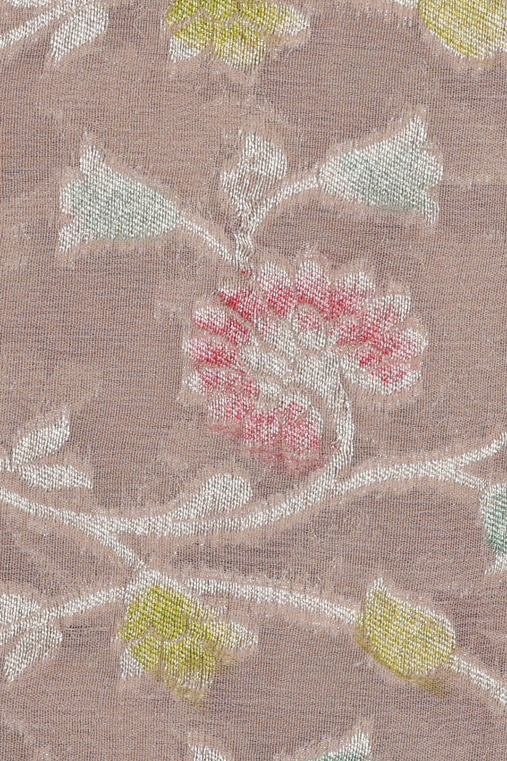 Image of Banarasi Georgette Beige Saree