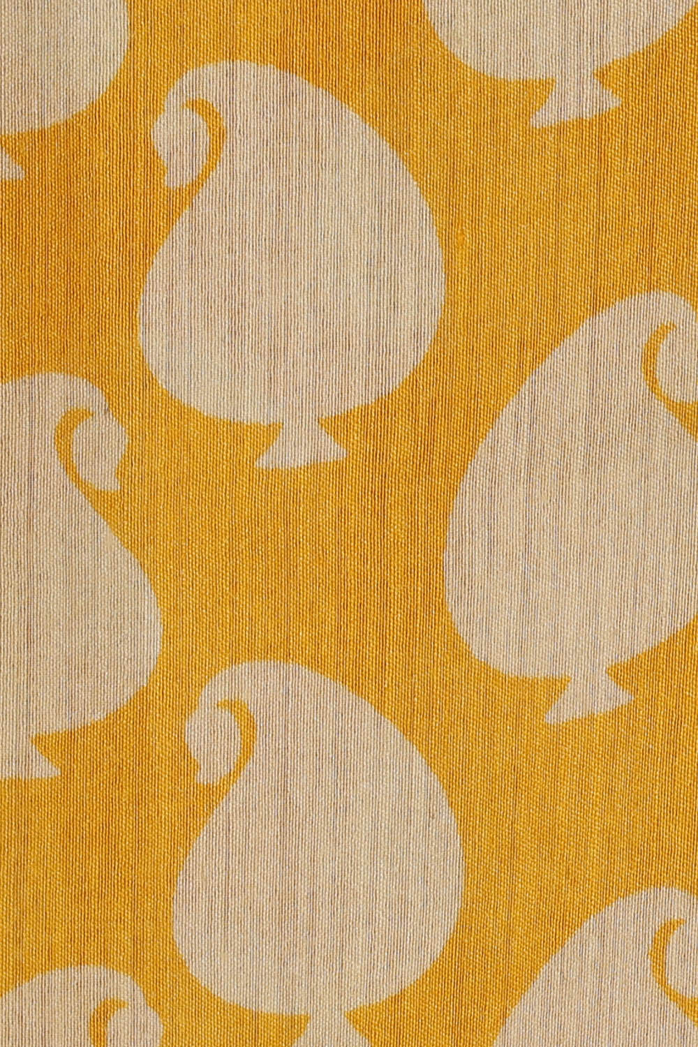 Image of Moonga Tussar Silk Yellow Saree