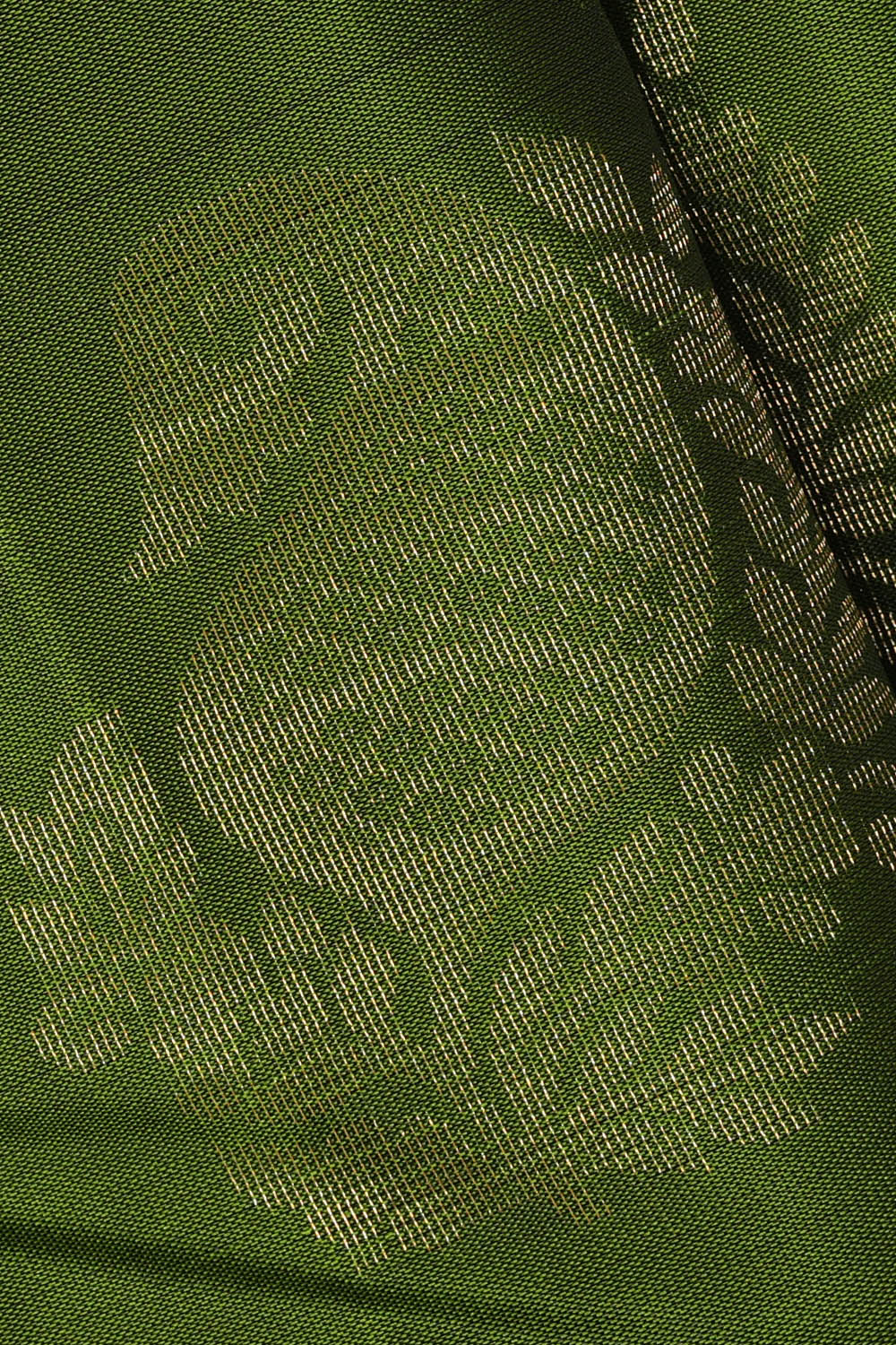 Image of Kanchipattu Silk Green Saree